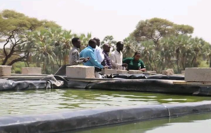 Turkana County, SNV Netherlands partner to support 10,000 youths in fisheries and aquaculture development