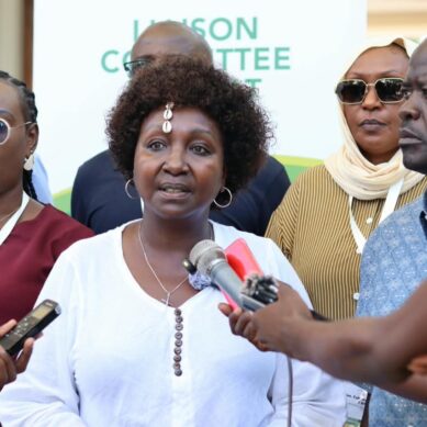Deputy Speaker reveals National Assembly is prioritising consequential election and audit laws before dissolution of parliament  