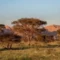 Africa is continent where man and his ambiances are eternally having a holy communion often misunderstood by foreigners