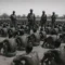 Day desert in north-eastern Kenya was drenched in Somali blood: Revisiting the 1984 Wagalla Massacre story the state wants to bury in ‘second grave’